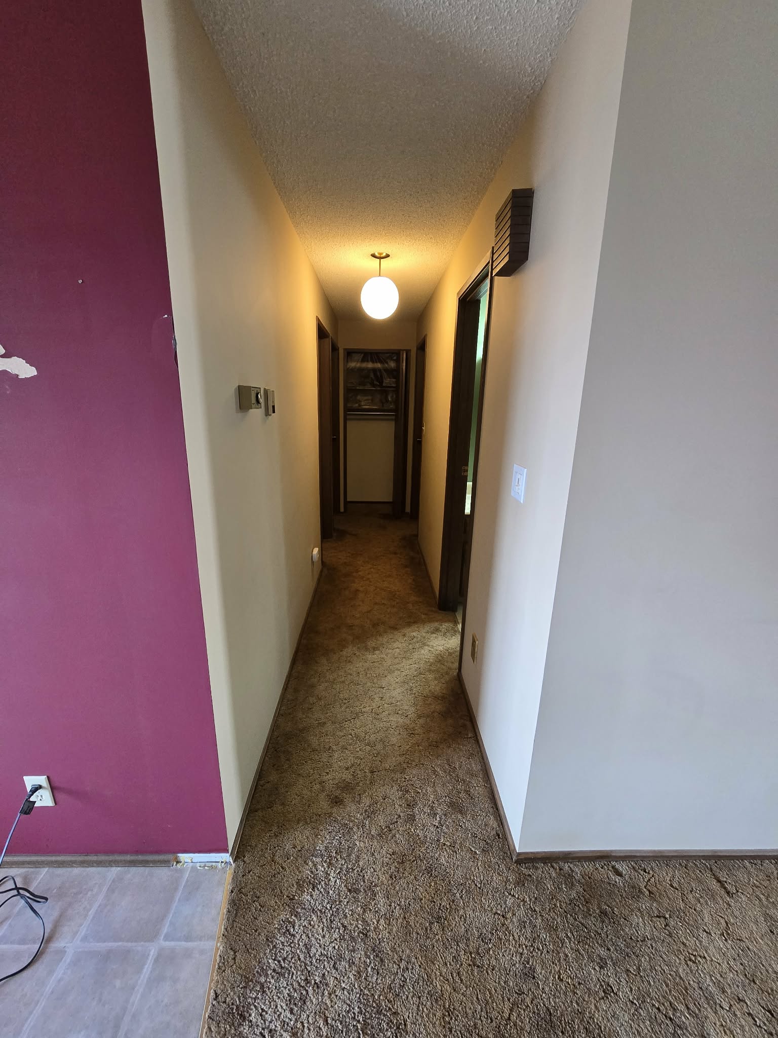 Hallway baseline with older carpet, dark doors and trim